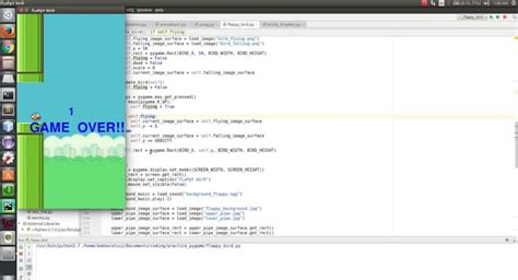 How to Make a Game Using Python 的图像结果