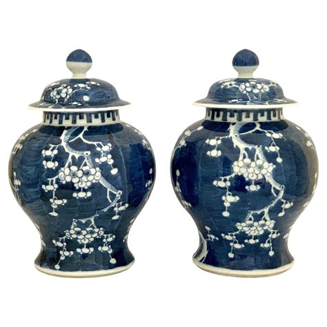 Chinese Ginger Jars Blue And White at Isabella Lansell blog