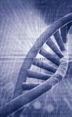 Image result for DNA Solves