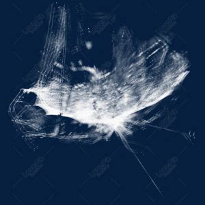 Image result for Realistic Spider Web