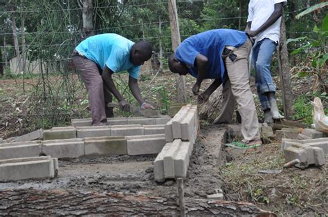 Interlocking Building Blocks 的图像结果