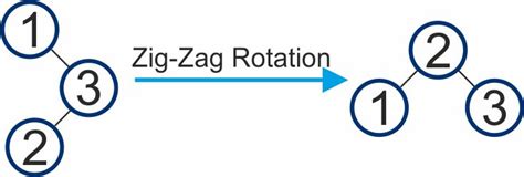 Splay Tree - Data Structures Tutorial | Study Glance
