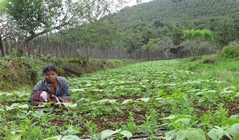 CHANARD - Centre for Human and Natural Resources Development
