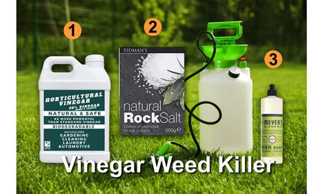 White Vinegar Mixture To Kill Weeds at Brenda Marston blog