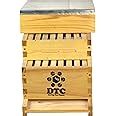 DTC ISI Type 'A' for Apis cerana Indica Beehive Box for Beekeeping ...