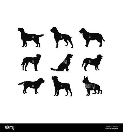 Black And White Dog Symbolism at Geraldo Owens blog