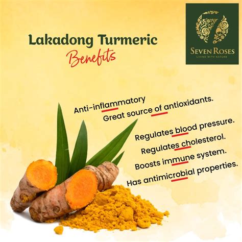 High Curcumin Meghalaya Lakadong Turmeric Powder -150 gm -Premium ...