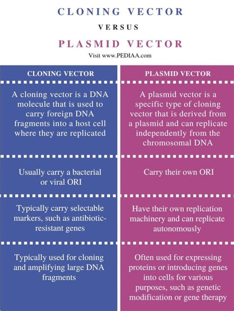 Cloning Vector Examples 的图像结果