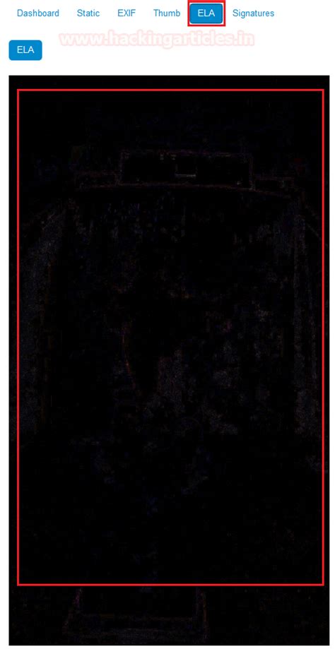 Forensic Investigation: Ghiro for Image Analysis - Hacking Articles