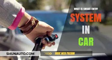 Image result for Car Access Module