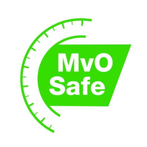 Image result for MVO Explainer Video