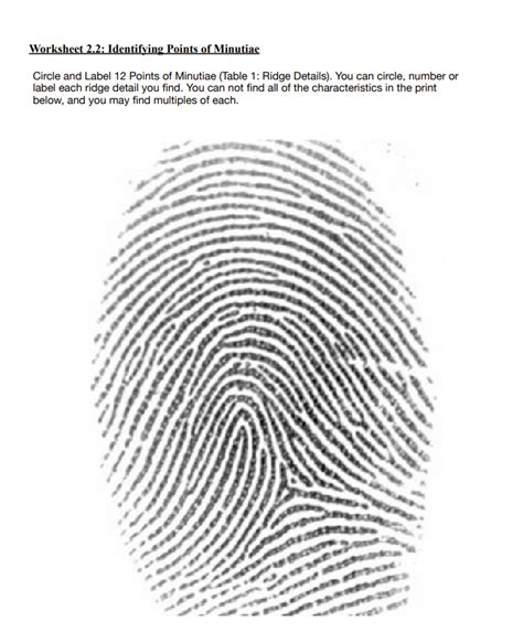 Image result for Fingerprint Matching Worksheet