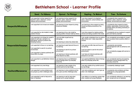 Learner Profile Lessons 的图像结果