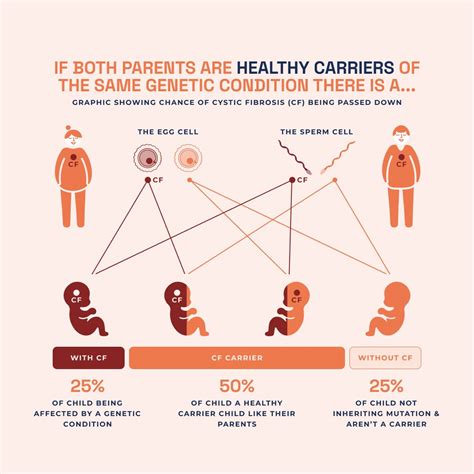 Cystic Fibrosis Screening: Early Detection by Scan and NIPT