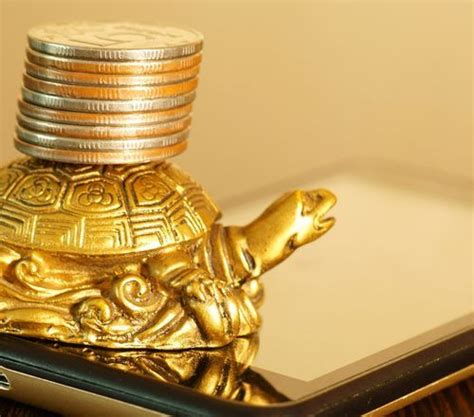 ആമ വാസ്തു നുറുങ്ങുകൾ : 18 തരം ആമകൾ വീടിന് മികച്ചതാണ്