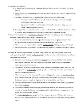 Image result for Crash Course Nervous System