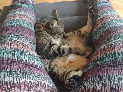 Compilation of Romane's weird sleeping positions 😅 (OC) : r ...