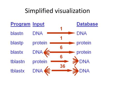 Image result for Blast Tutorial DNA Ubuntu