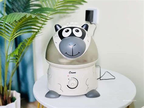 Image result for Why My Mini Humidifier Is Not Working