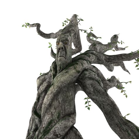 Image result for File ENT