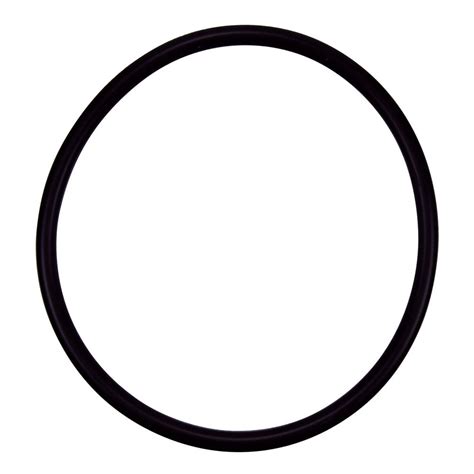 Pentair R172009 Cap O-Ring Replacement Pool and Spa Filter and Feeder ...
