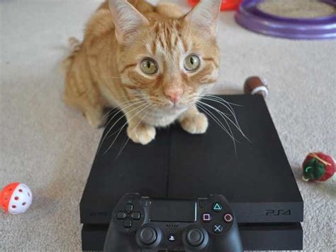 These are the free PlayStation games for November | Business Insider India
