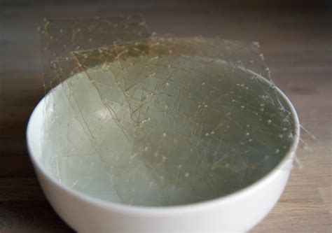 Gelatin : जेलेटिन क्या है? जानिए उपयोग, डोज और सावधानियां - हैलो स्वास्थ्य