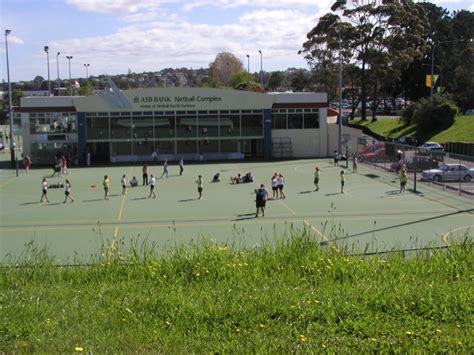 Netball Signals 的图像结果