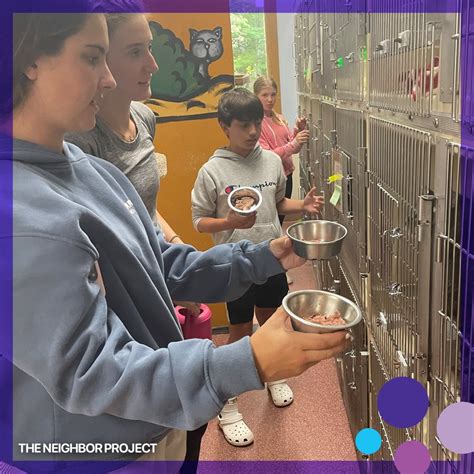 The Neighbor Project — Signature Academics