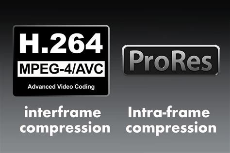 Image result for MP4 Container Format