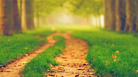 Image result for Background Images for JavaScript