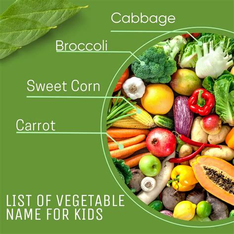 100 Vegetable Names in English and Hindi