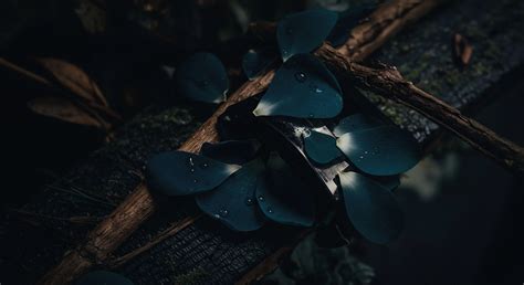 Blue Water → Fundamentals