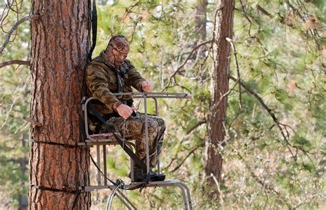Image result for Lock Down Ladder Tree Stands