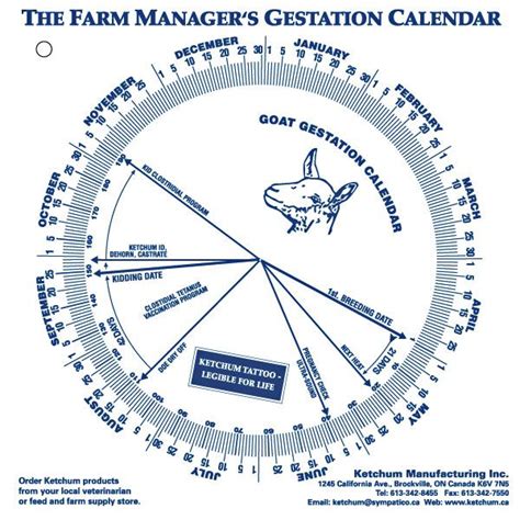 Ewe Gestation Calendar - Printable Calendars AT A GLANCE