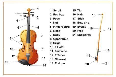 Premium Vector | Violin and bow infographic the structure of a musical ...
