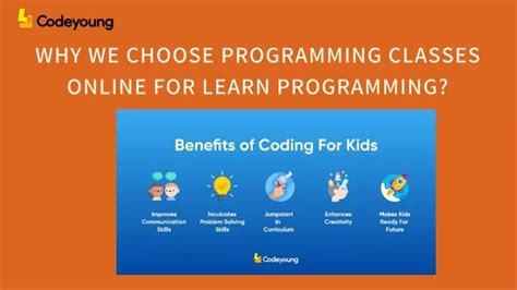 Image result for Programming Classes