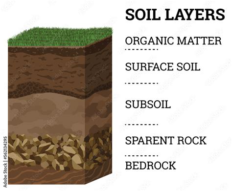 Earth Soil 的图像结果