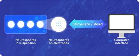 Brain Processing Unit 的图像结果