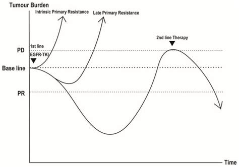 Primary Resistance to EGFR Tyrosine Kinase Inhibitors (TKIs): Contexts ...