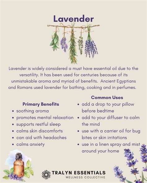 Lavender Essential Oil 💜 This is one of my favorites, so many benefits ...
