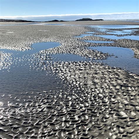 Malaga Island, Maine — CAROLINE RUFO