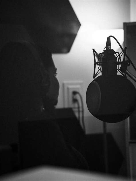 Booth Recording Example 的图像结果