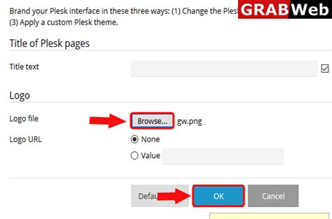 How to make your plesk branding as Reseller in Plesk 12.5 ? - GRABWEB ...