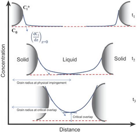 Image result for Concentration Gradient Illustration
