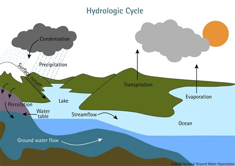The Hydrologic Cycle - Wellowner.org