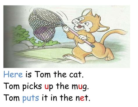 Image result for Topic 13