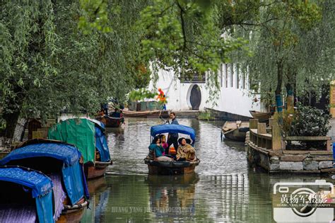 悅讀城市 申城記憶：蘇州河畔的划船總會 - 每日頭條