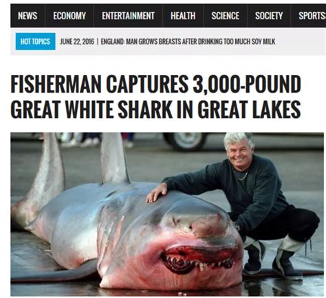 A 3,000 Pound Shark Caught in Lake Michigan? [PHOTOS]