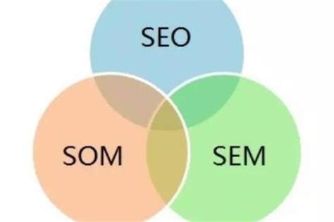 SEO vs SEM: [Difference and which one is better in 2024]